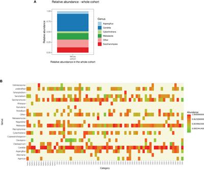 Analysis of Salivary Mycobiome in a Cohort of Oral Squamous Cell Carcinoma Patients From Sudan Identifies Higher Salivary Carriage of Malassezia as an Independent and Favorable Predictor of Overall Survival